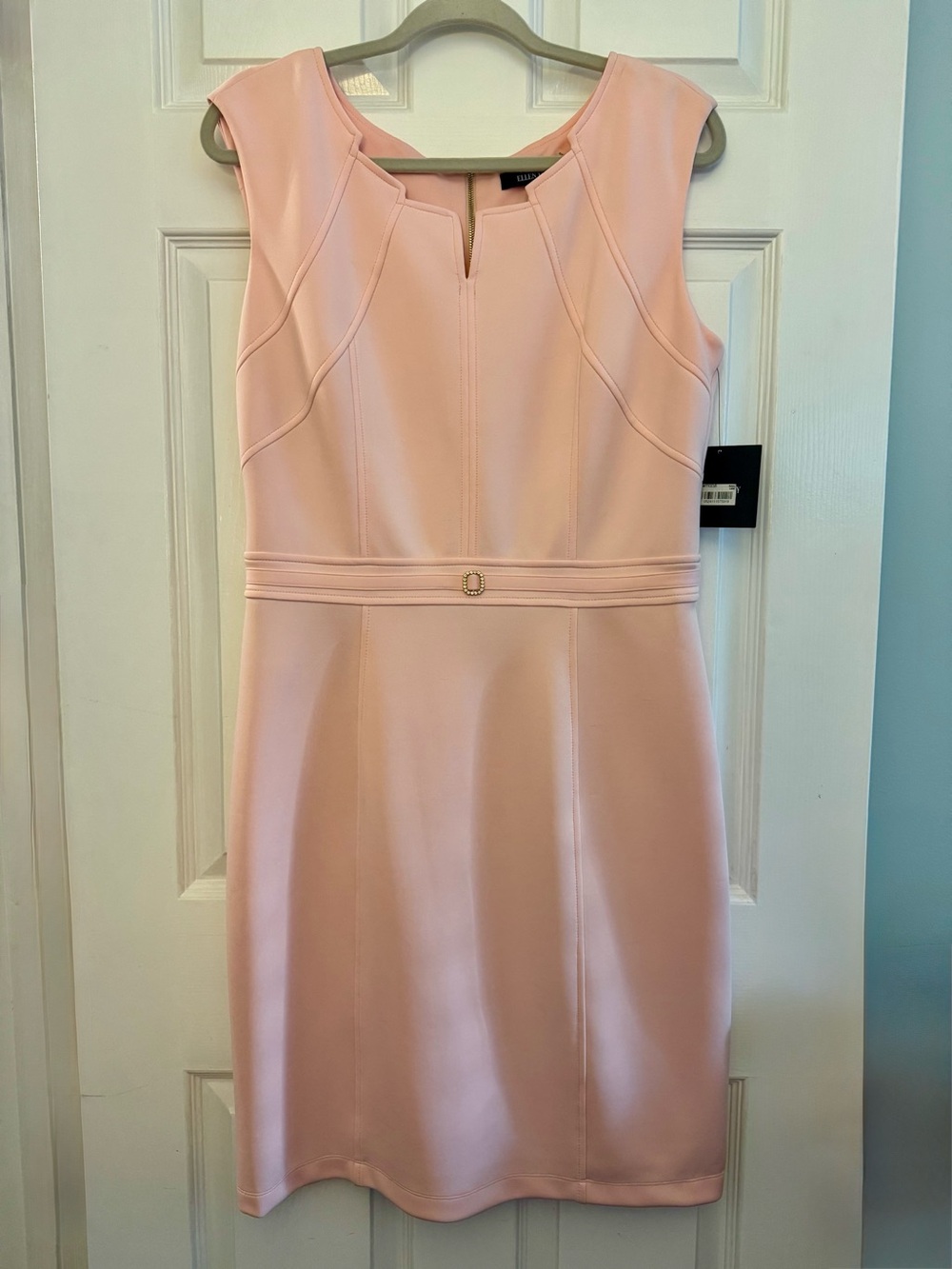 Ellen Tracy Sleeveless Blush Pink Seamed Sheath Dress Size 12